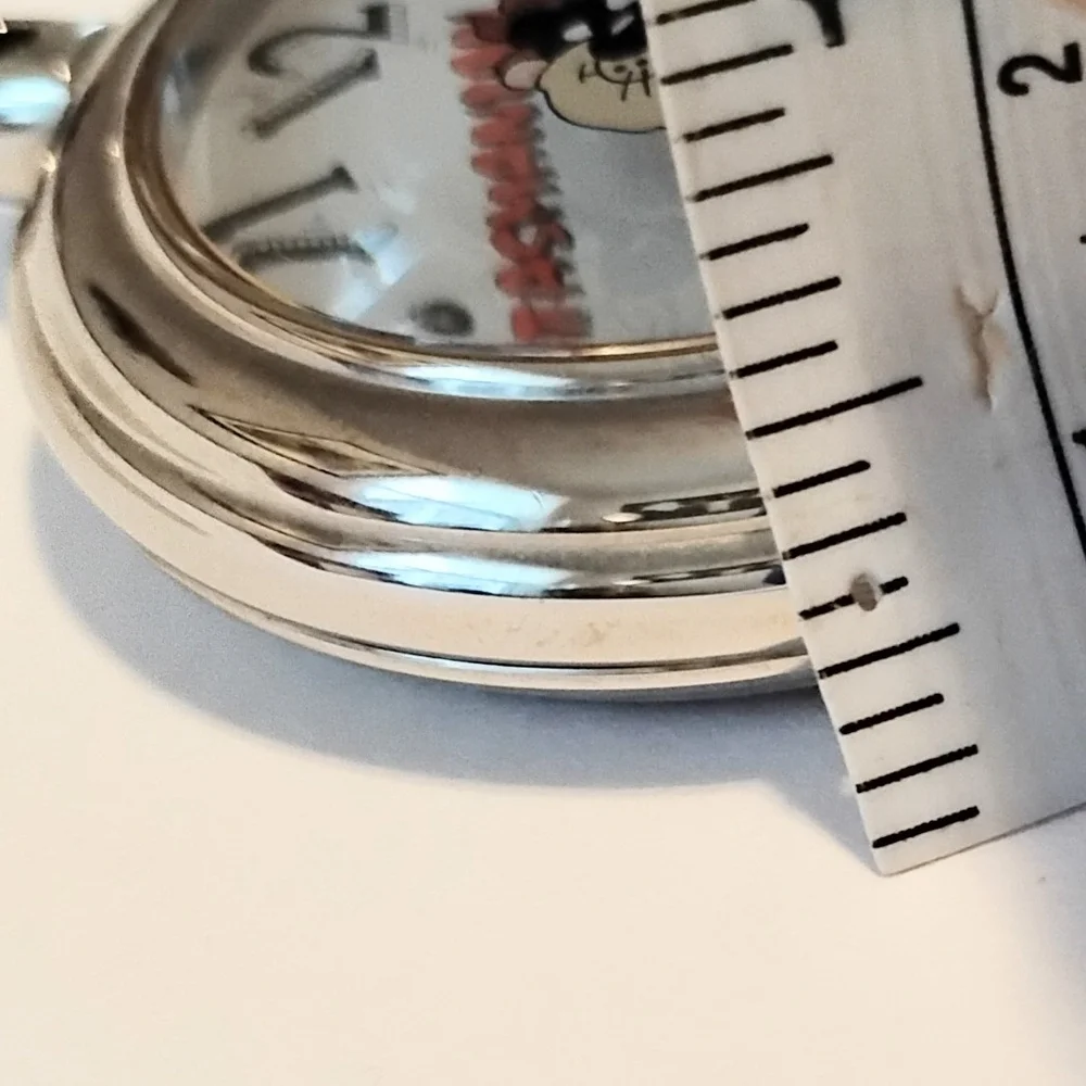 Armitron Looney Tunes Taz Manian Devil Collectible Pocket Watch